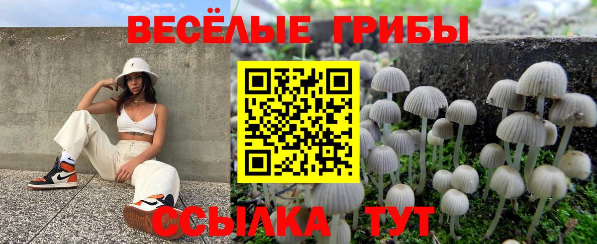Галлюциногенные грибы мухоморы Качканар