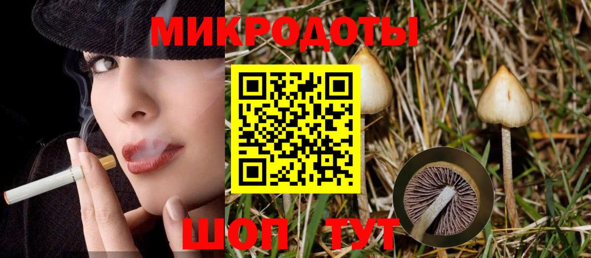 Качканар  Псилоцибиновые грибы ЛСД  Вход с VPN 